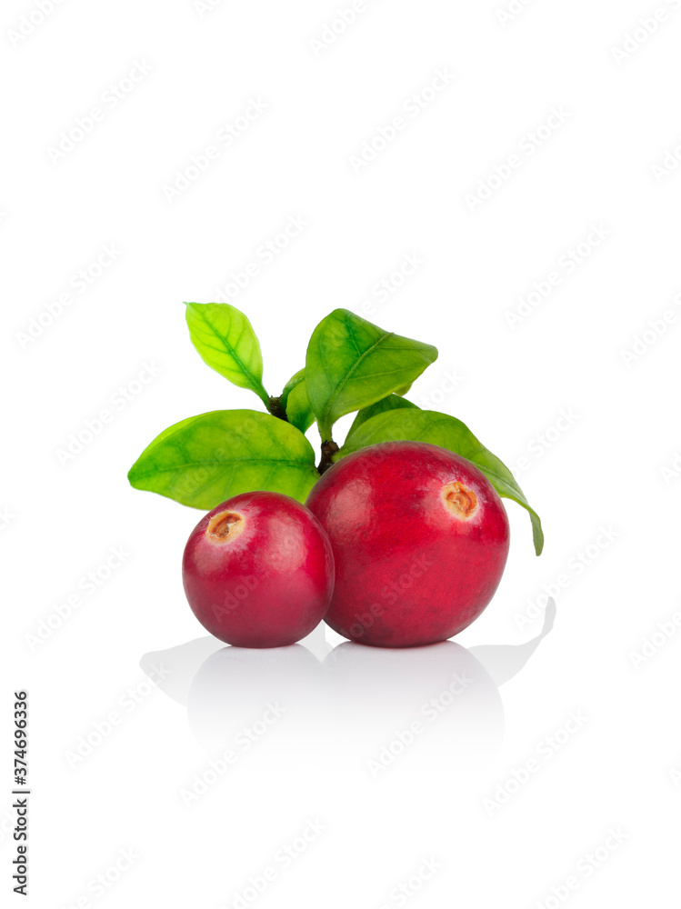 Close up view of fresh red berries on white back Close up view of fresh red berries on white back