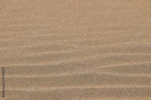 sand texture background 12