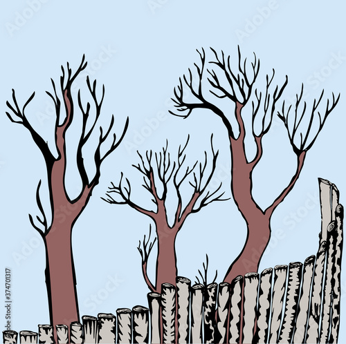 Vector drawing of silhouettes trees behind wooden fence