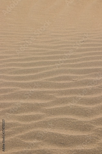 Fototapeta Naklejka Na Ścianę i Meble -  sand texture background 14