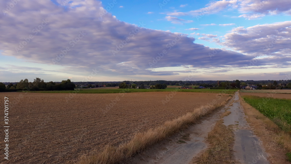 Fototapeta premium Abendspaziergang in Viersen bei Sonnenuntergang im Sommer nach der Ernte