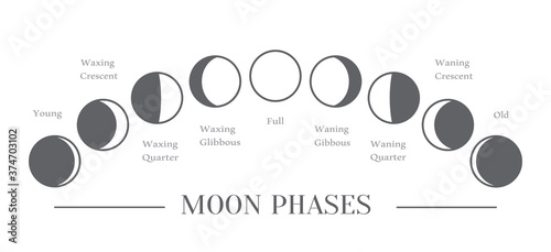 Moon phases. The whole cycle from new moon to full moon. Vector
