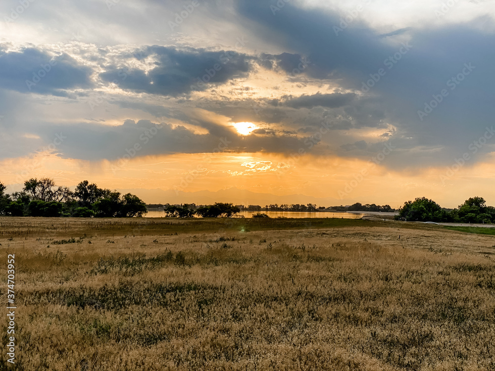 sunset over the field