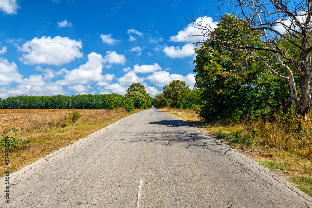 country road in the countryside