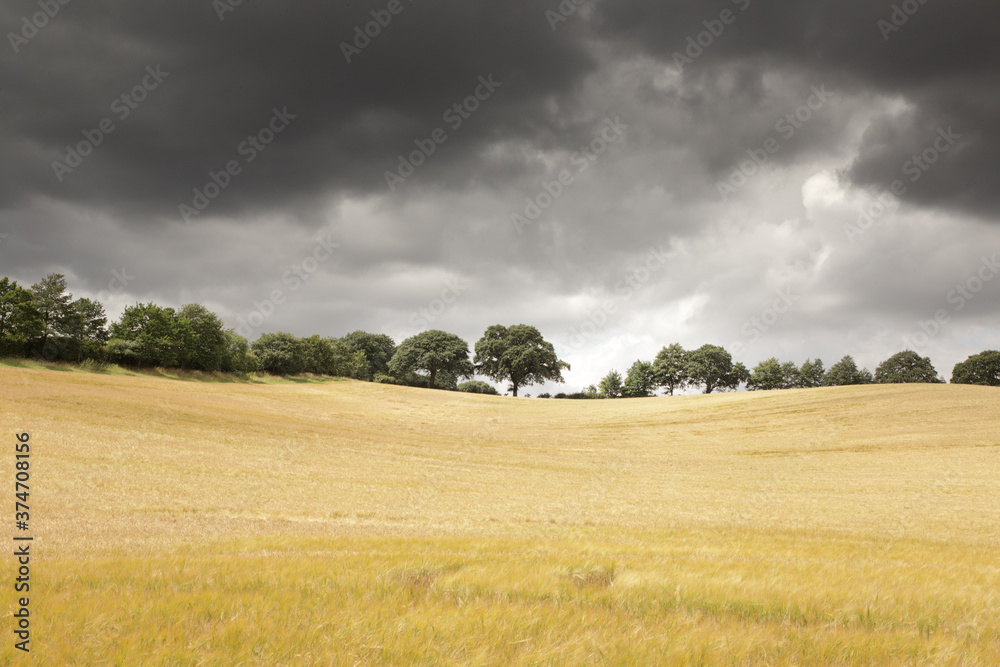 Obraz premium countryside of oxfordshire england