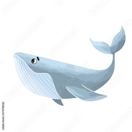 Fish Blue whale sperm whale illustration for children vector