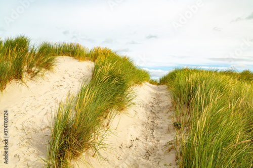 Fototapeta Naklejka Na Ścianę i Meble -  View from dune top near the sea on an island on a sunny day