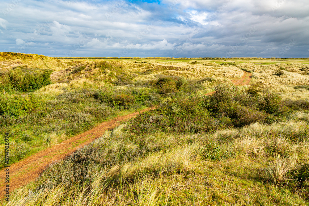 Rural landscape of a meadow with grass on a island in the North Sea, Holland Rural landscape of a meadow with grass on a island in the North Sea, Holland
