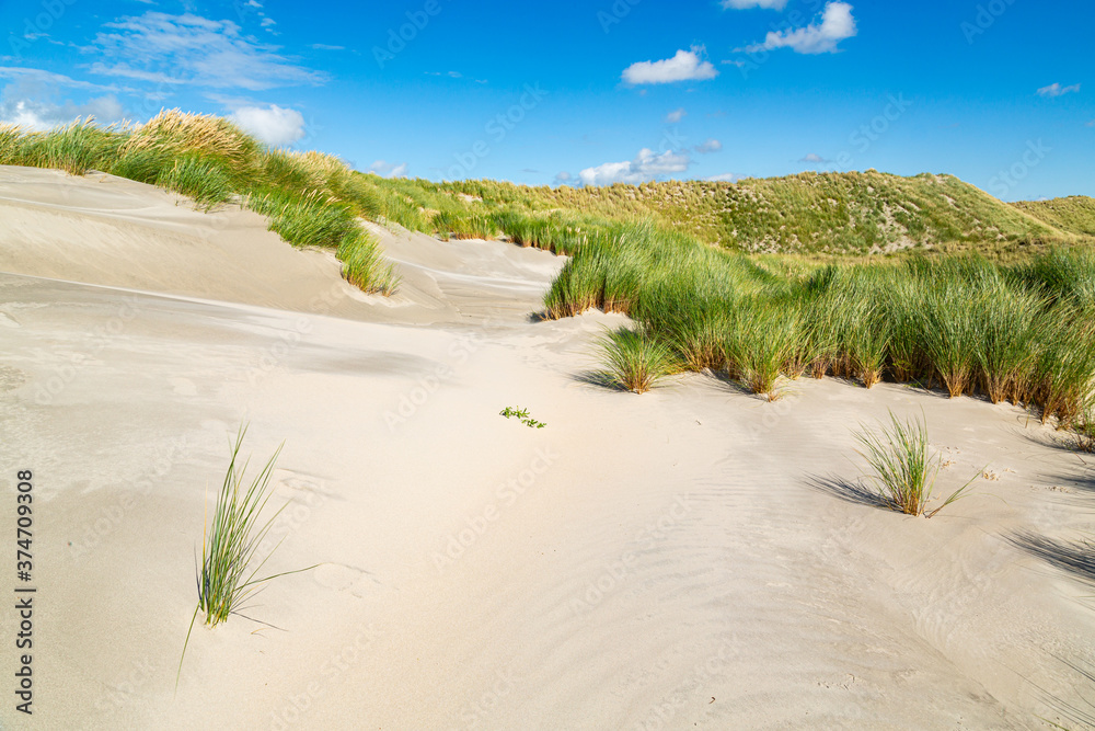 View from dune top near the sea over a green valley on an island on a sunny day