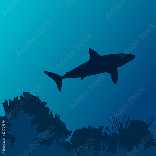 Ocean underwater world with shark
