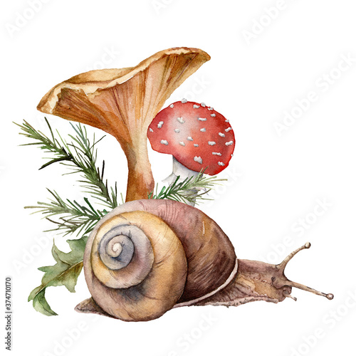 Watercolor autumn composition with mushrooms and snail. Hand painted amanita muscaria and chanterelle isolated on white background. Botanical forest illustration for design, print or background. photo