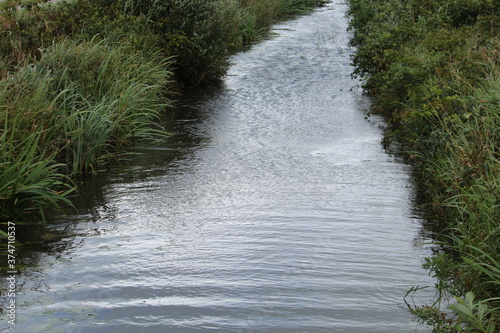 a small stream