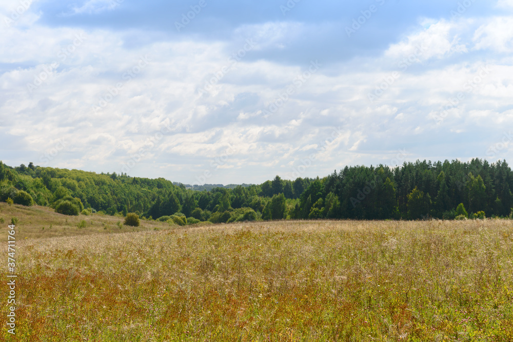 Summer landscape with field, forest and clouds in the blue sky