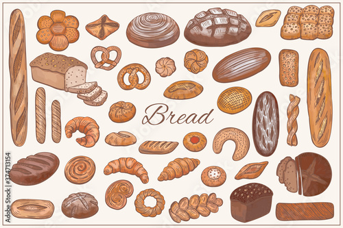 Bread, loaf, baguette, bun, croissant and more items illustration set in graphic sketch style. Vector hand drawn vintage engraving illustration for poster, label and  menu bakery shop.