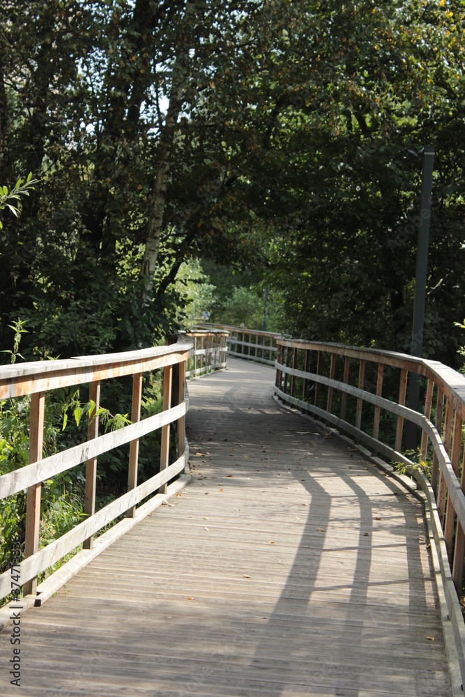 Obraz premium A winding footpath in the park. Moscow. Russia.