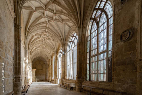 catedral diocesana de Palencia en Castilla España © jjmillan