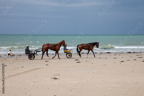 sulky sur la plage photo