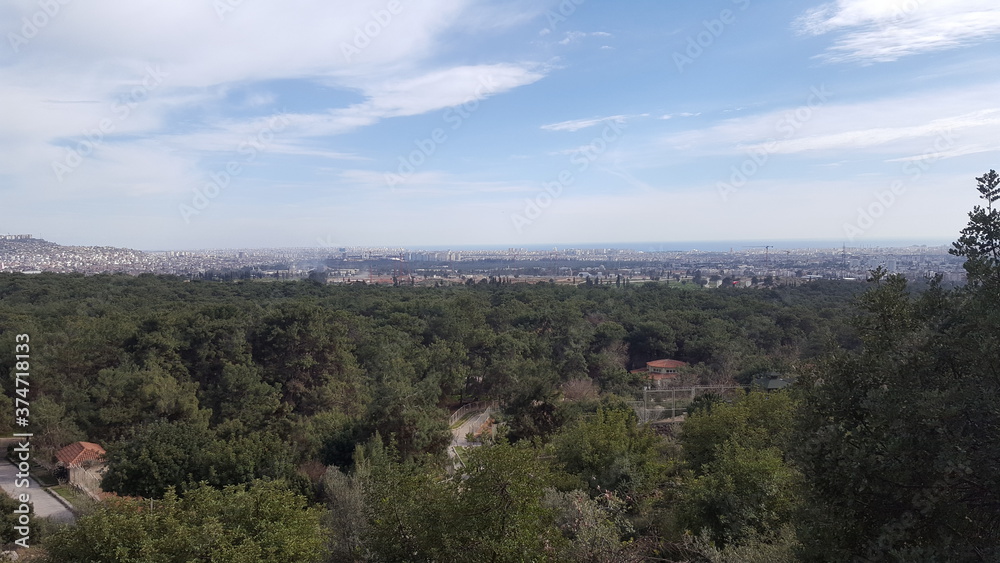 View of the forest. View of the forest and the city behind the forest. Endless cloudy sky over the forest and the city. Panoramic view of the forest and city from a hill. Intertwined city and forest.