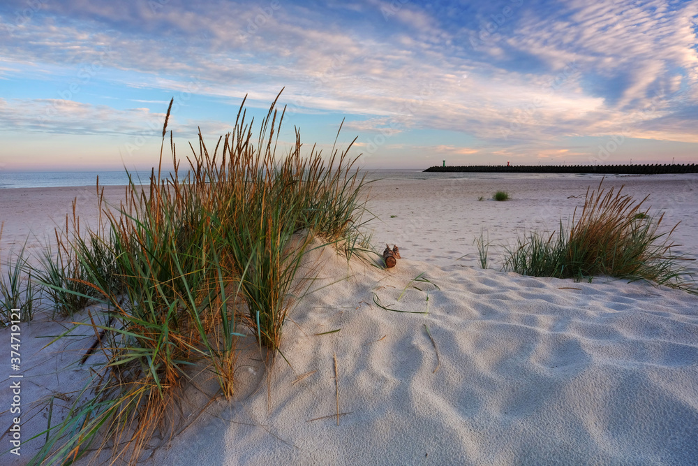 Wydmy na wybrzeżu Morza Bałtyckiego,plaża w Kołobrzegu,Polska.