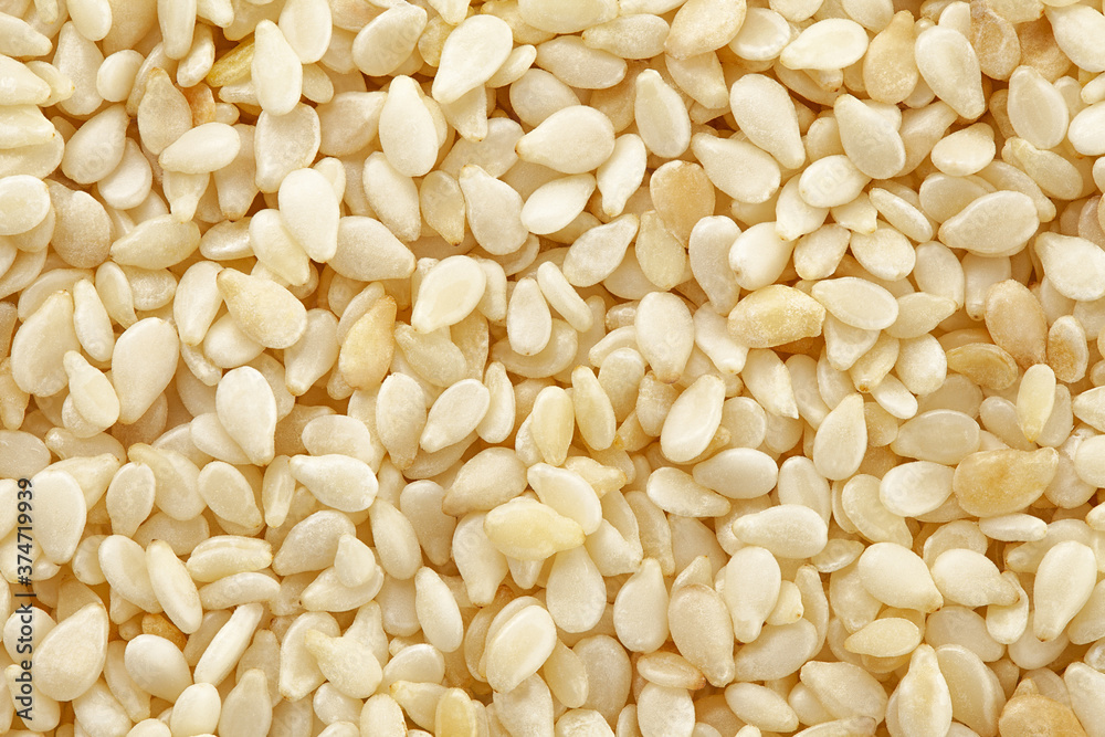 sesame isolated on white background, full depth of field sesame isolated on white background, full depth of field