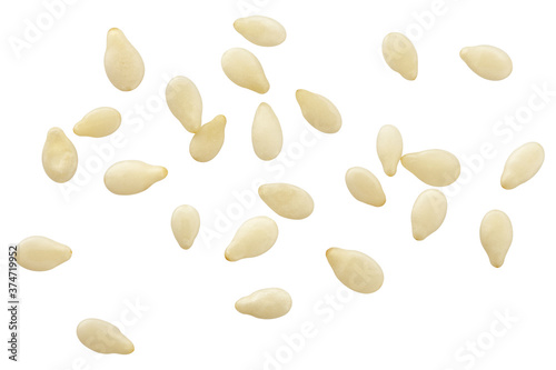 sesame isolated on white background, clipping path, full depth of field photo