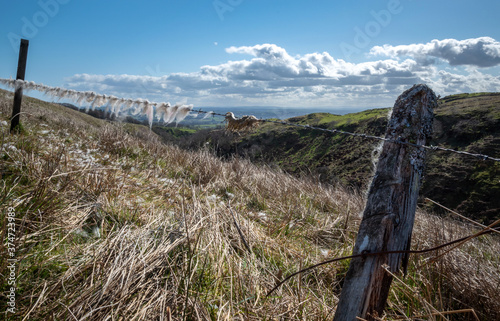 View of grass land,  Lochwinnoch, Scotland photo