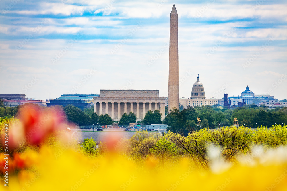 National mall Lincoln memorial Washington Monument obelisk and United States Capitol Building behind the tulips