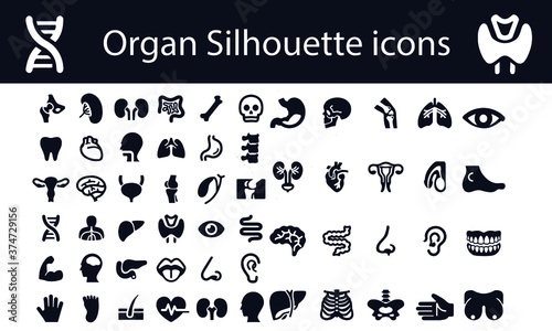 organ silhouette icons vector design black and white
