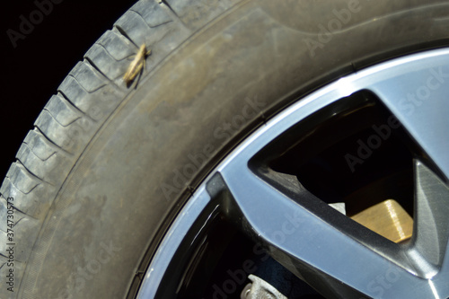 Car wheels with cast wheels with a grasshopper on the tire