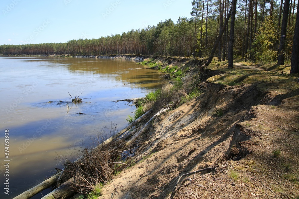 Erosion of bank of the Bug river, Mazovia, Poland - obrazy, fototapety, plakaty 