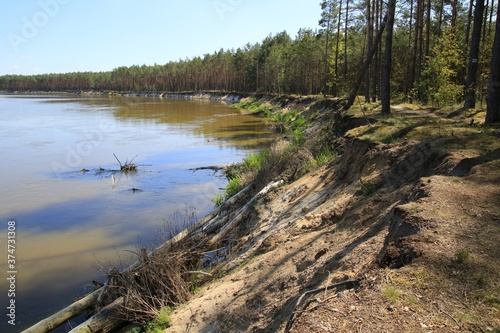 Erosion of bank of the Bug river, Mazovia, Poland