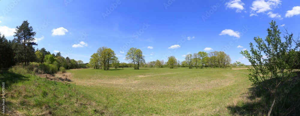 Landscape of Mazowsze, valley of Bug river, Poland