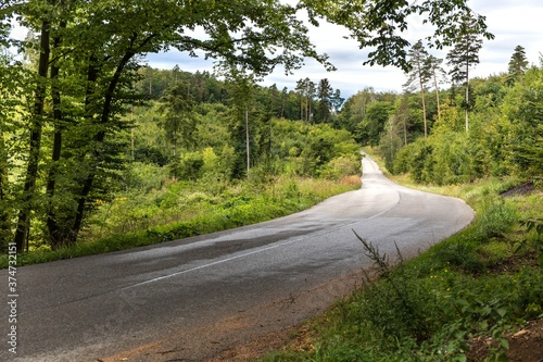 Asphalt road through green forest, trees, pines, spruces. Asphalt road curve pass through the green forest tree. Forest road in the Czech Republic.