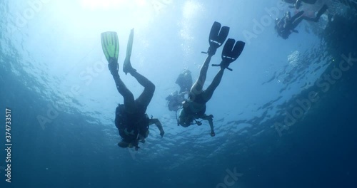 Wallpaper Mural beginner scuba divers learning to dive in blue water underwater scenery of a lady and teacher Torontodigital.ca