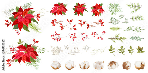 Red poinsettia vector Christmas flowers. Winter plants, floral elements illustration Watercolor concept. Traditional Xmas Set of green leaves and red petals, holly berry, pine branches, cotton flowers