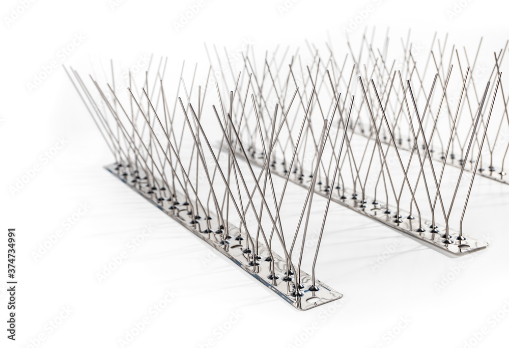 Closeup of multiple strips of bird spikes. Stainless bird spikes prevent pigeons, sparrows, seagulls, swallows from landing, roosting or nesting. Concept for humane pest control. Isolated on white. Closeup of multiple strips of bird spikes. Stainless bird spikes prevent pigeons, sparrows, seagulls, swallows from landing, roosting or nesting. Concept for humane pest control. Isolated on white.