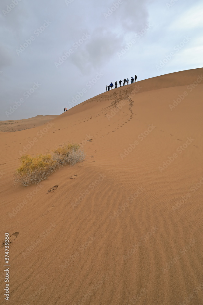 Tourists atop a moving sand dune-Badain Jaran Desert-Alxa Plateau-Inner Mongolia-China-1028