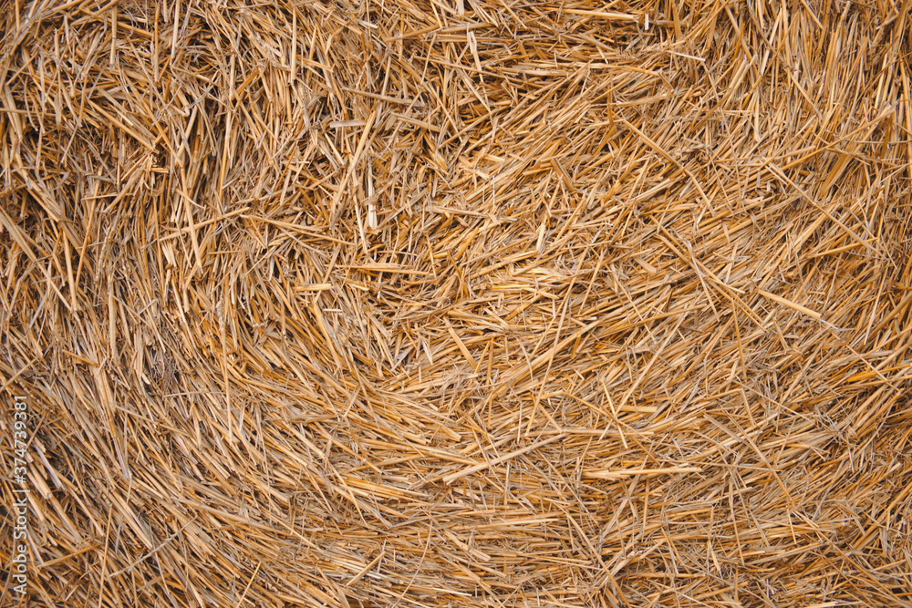 Dry hay bale as agricultural background Dry hay bale as agricultural background