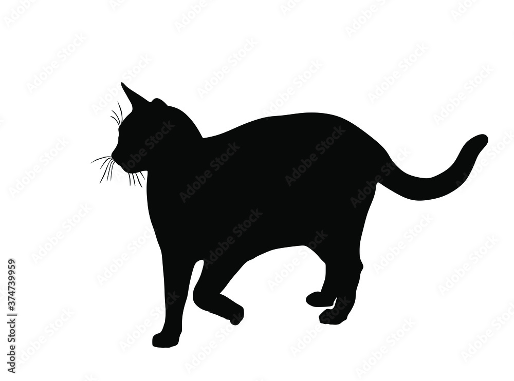 Domestic cat walking vector silhouette illustration isolated on white background. Lovely kitty pet symbol.