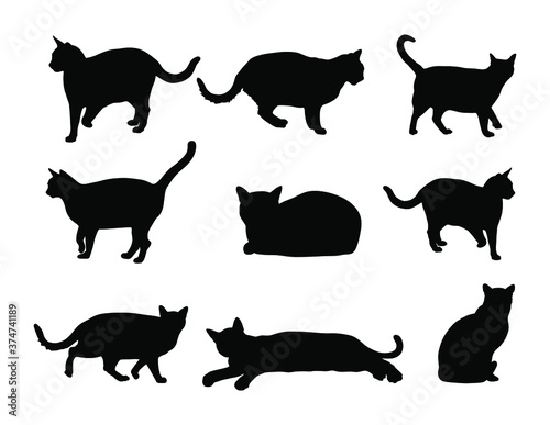 Fototapeta Naklejka Na Ścianę i Meble -  Group of many cats vector silhouette illustration isolated on white background. Cat family. Lovely friendly pets.