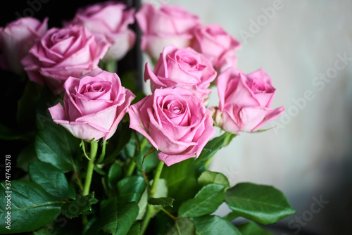 nine pink roses in a vase, close-up