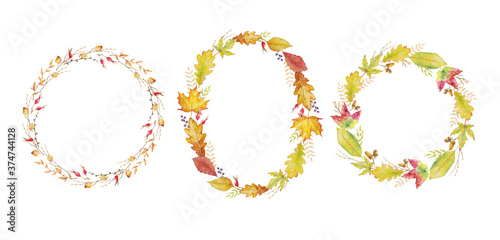 Herbal mix vector frame. Watercolor painted plants, branches and leaves on white background. Natural fall card design.