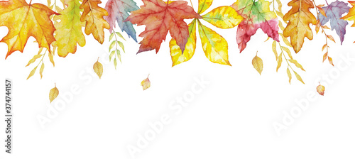 Herbal mix vector poster. Watercolor painted plants, branches and leaves on white background.