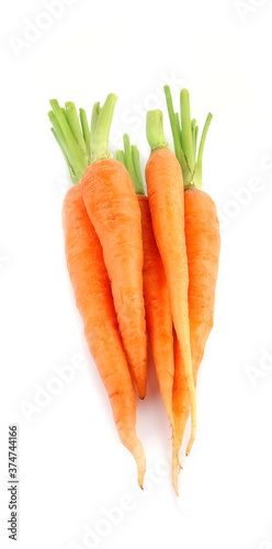Ripe carrot roots