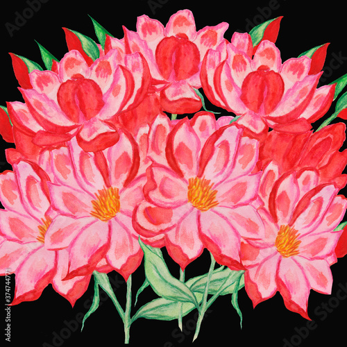 a bouquet of pink flowers similar to lotus or astrus with green petals