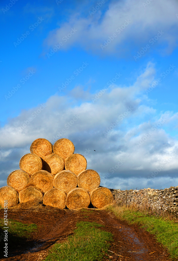 Farm hay bale rolls in the Cotswolds Farm hay bale rolls in the Cotswolds