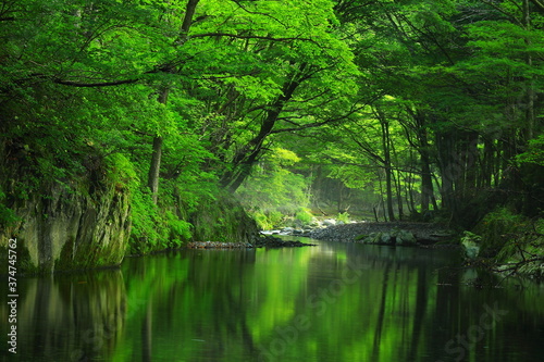 岩手県住田町 夏の渓流