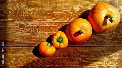 harvest time. Pumpkins, yellow peppers on wooden background.