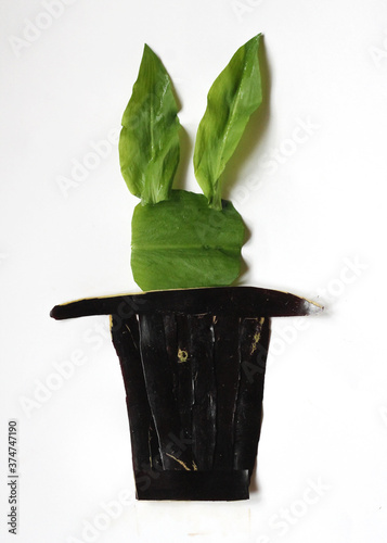 Rabbit in magic hat on an isolated white background mage from salad leaves and eggplant. Top view illustration, close-up, flat lay, concept for a card or poster