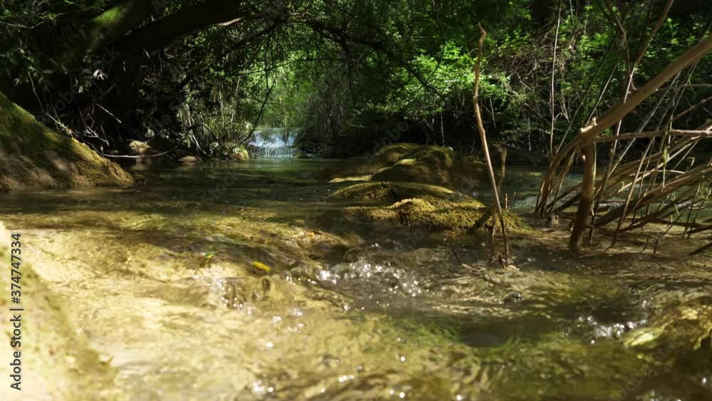beautiful crystal water river stream in forest slow motion 4k beautiful crystal water river stream in forest slow motion 4k